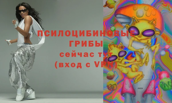 крисы Инсар