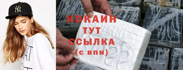 крисы Инсар